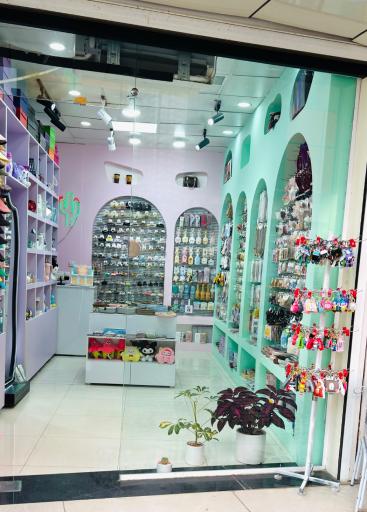 عکس گالری کاکتوس