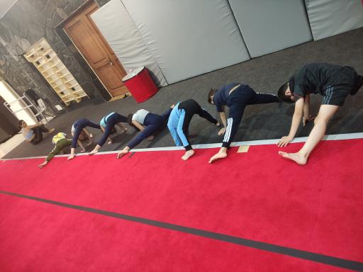 عکس آکادمی ژیمناستیک آناهاتا