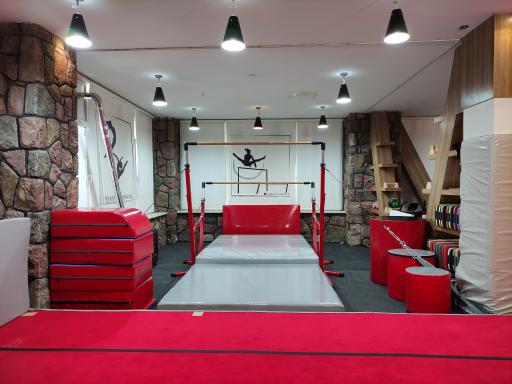 عکس آکادمی ژیمناستیک آناهاتا