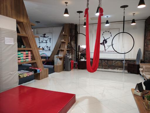 عکس آکادمی ژیمناستیک آناهاتا