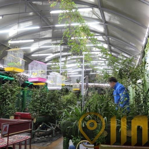 عکس رستوران باغ سبز