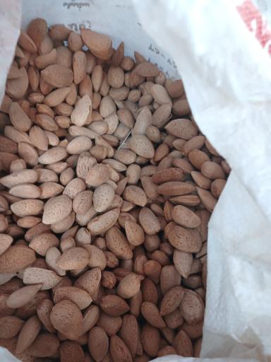 عکس ترشیجات و آبلیمو حسین زاده