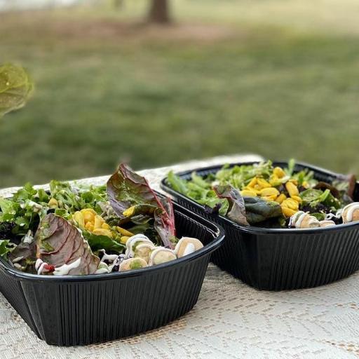 عکس غذای گیاهی بشقاب سبز