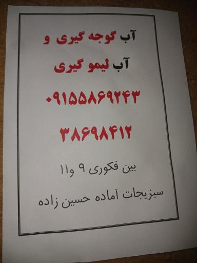 عکس ترشیجات و آبلیمو حسین زاده