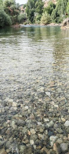 عکس کمپ رفتینگ پرواز