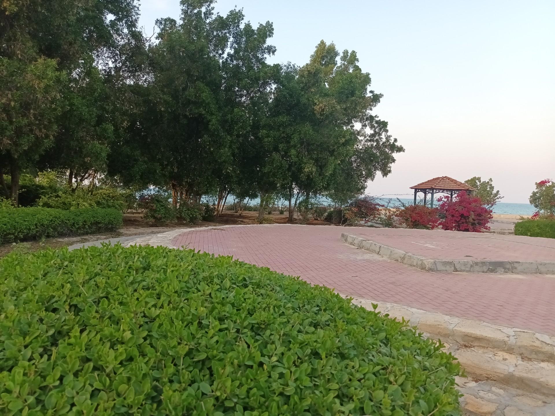 عکس بازار عربها کیش