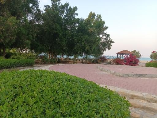 عکس بازار عربها کیش