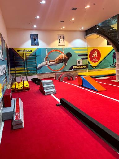 عکس باشگاه ژیمناستیک آنیل 