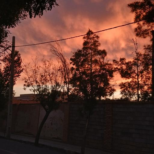 عکس باغ امید سالار