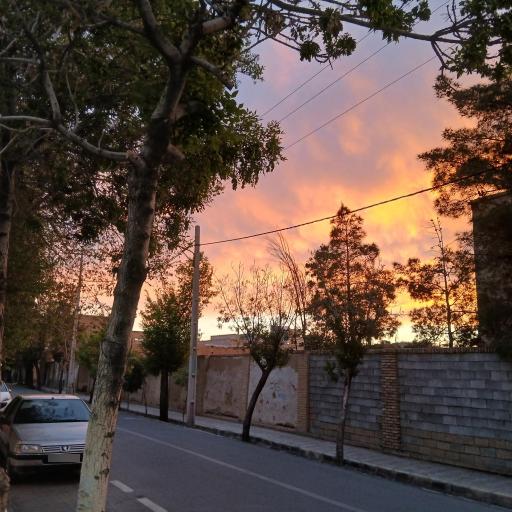 عکس باغ امید سالار
