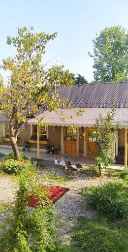 عکس اقامتگاه بومگردی طیبه جان