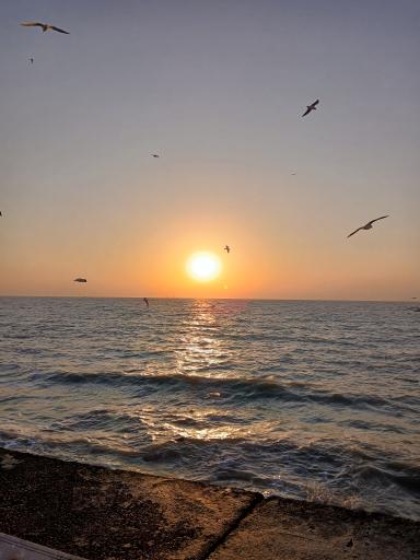 عکس ساحل بوشهر