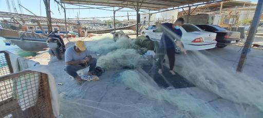 عکس ساحل بوشهر