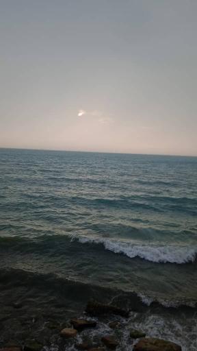 عکس ساحل بوشهر