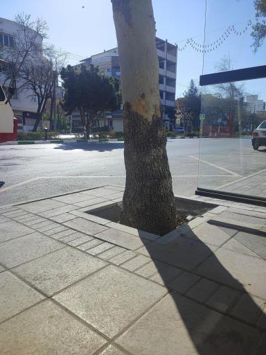 عکس  ابتدای بعثت