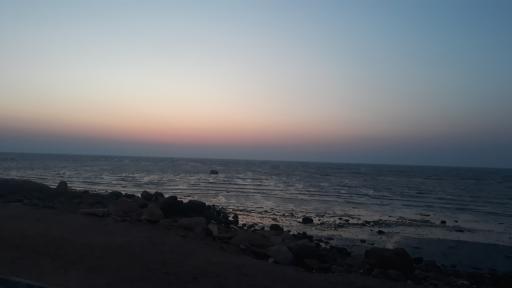 عکس ساحل بوشهر