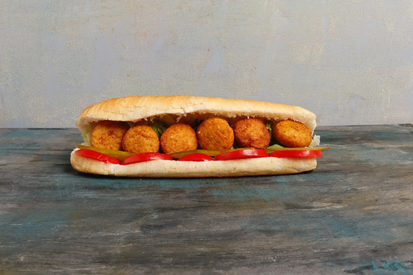 عکس امیر برگر