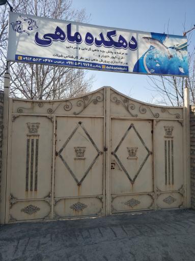 عکس پرورش ماهی دهکده