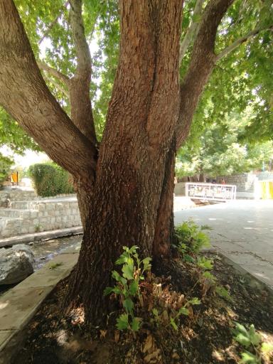 عکس مجموعه رفاهی گردشگری سراب عباس آباد