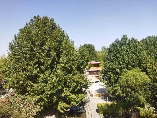 عکس مجموعه رفاهی گردشگری سراب عباس آباد