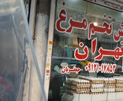 پخش تخم مرغ جعفریان 