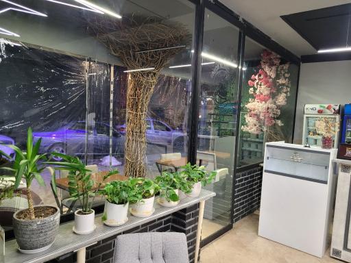 عکس کافه مولنروژ