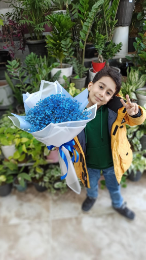 عکس گلکده رز مشکی