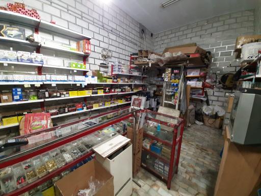 عکس الکتریکی شایسته