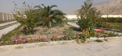 عکس پارک بانوان 