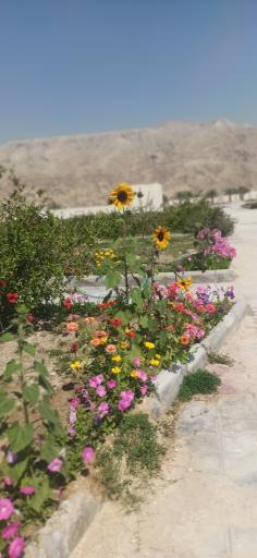 عکس پارک بانوان 