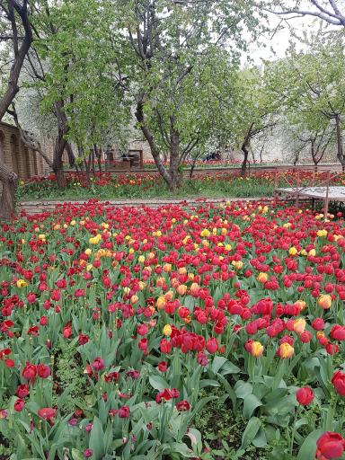 عکس شهرک ویلایی انّا