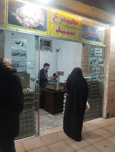 عکس پخش تخم مرغ سید