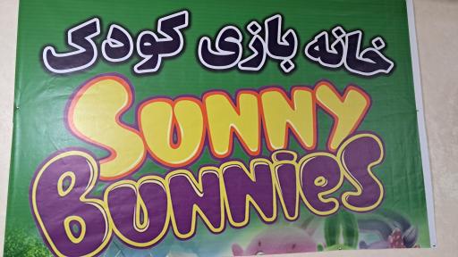 عکس خانه بازی کودک سانی بانی