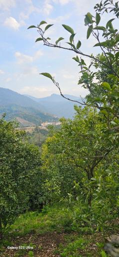 عکس واجارگاه