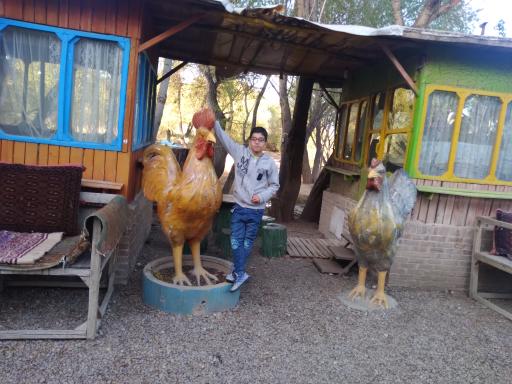 عکس پارک ساحلی آتا