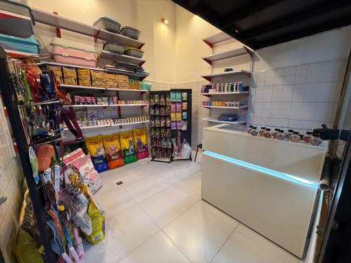 عکس پت شاپ بلوبری