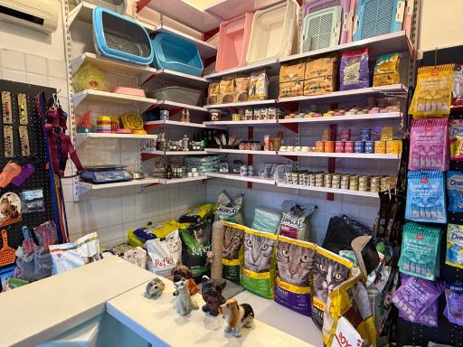 عکس پت شاپ بلوبری