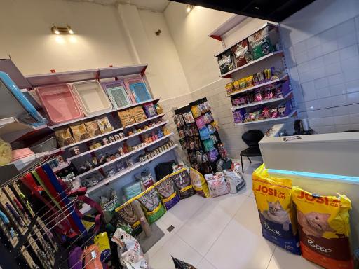 عکس پت شاپ بلوبری