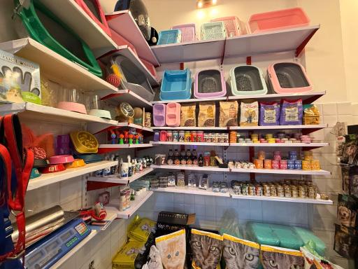 عکس پت شاپ بلوبری