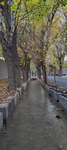 عکس اصفهانک
