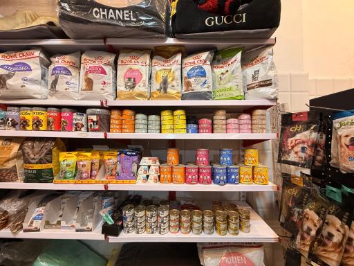 عکس پت شاپ بلوبری