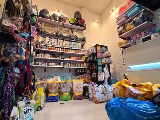 عکس پت شاپ بلوبری