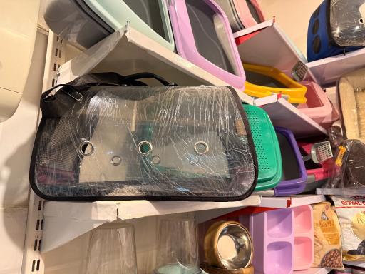 عکس پت شاپ بلوبری