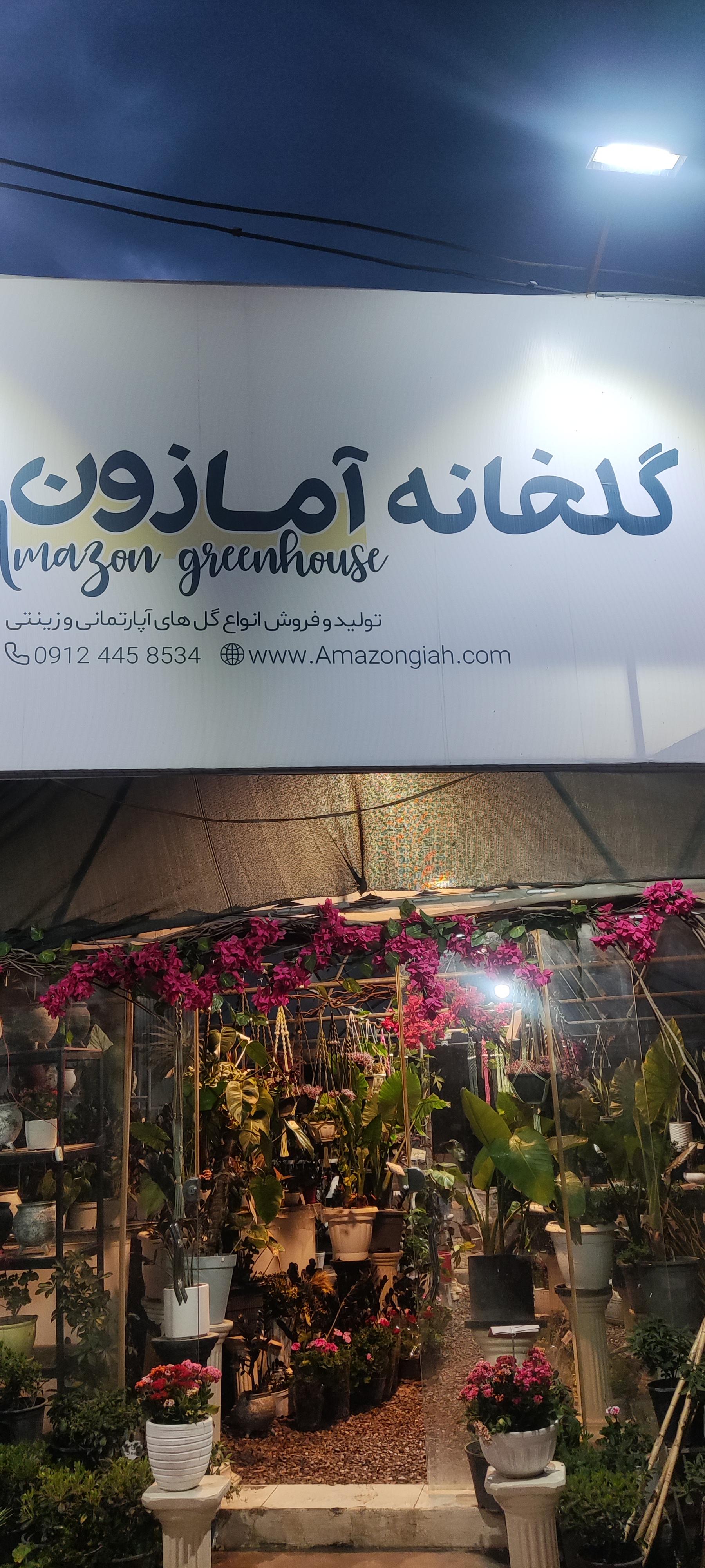 عکس گلخانه آمازون 