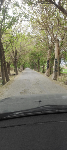 عکس اصفهانک