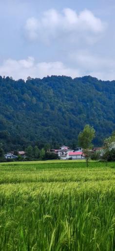 عکس واجارگاه