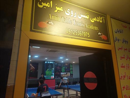 عکس آکادمی تنیس روی میز امین 