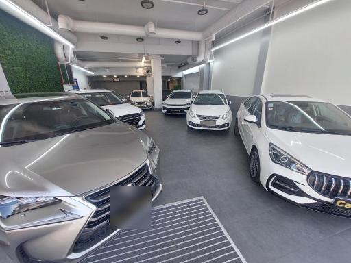 عکس اتو کارمانی