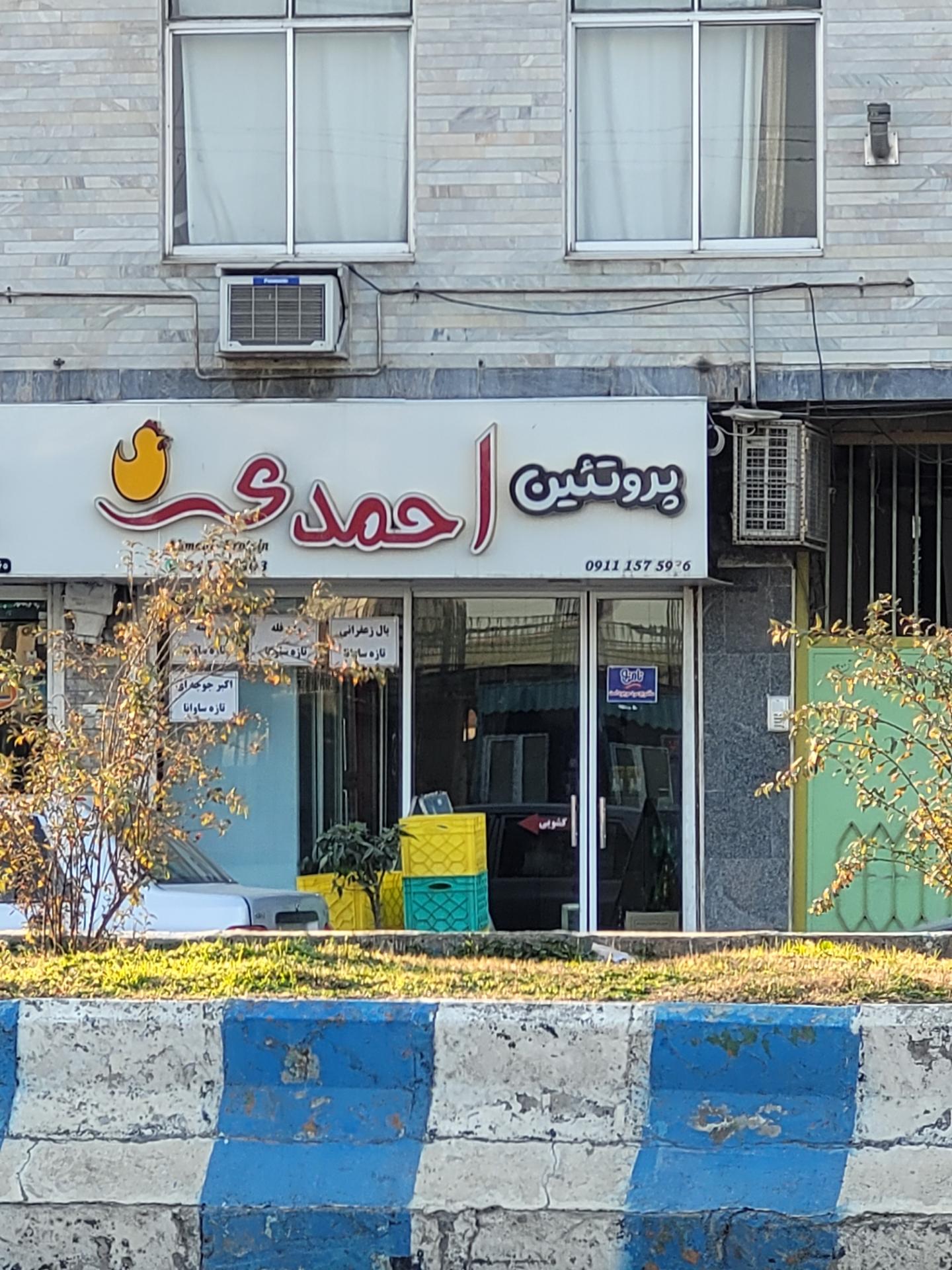 عکس پروتئین احمدی