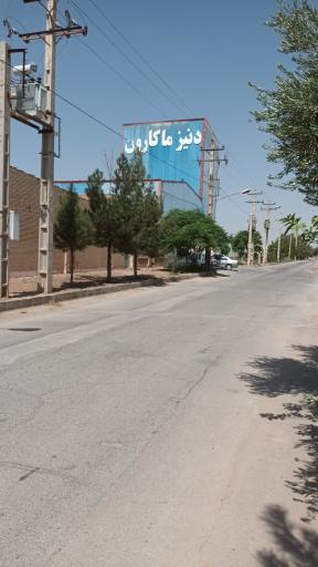 عکس دنیز‌‌ماکارون